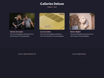 Galleriesdeluxe screenshot