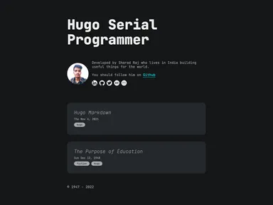 Hugo Theme Serial Programmer screenshot